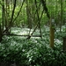 ds_DSC00354