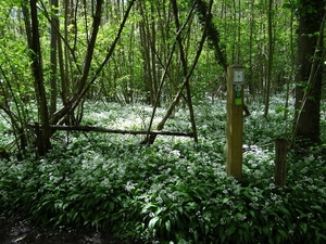 ds_DSC00354