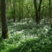 ds_DSC00355