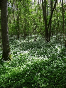 ds_DSC00355