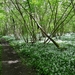 ds_DSC00356