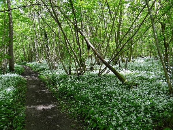 ds_DSC00356