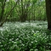 ds_DSC00357