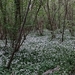ds_DSC00359