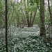 ds_DSC00360