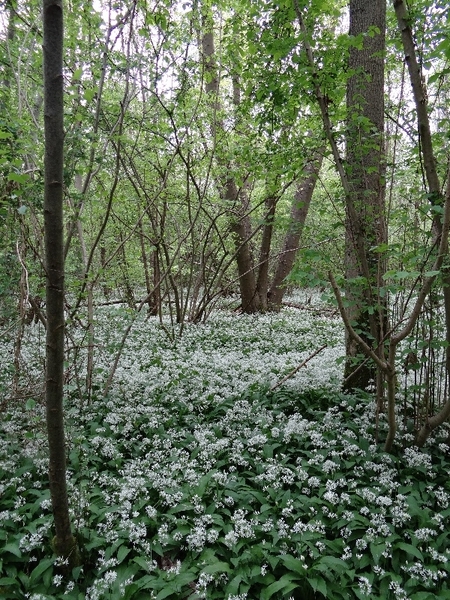 ds_DSC00360