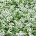 ds_DSC00361