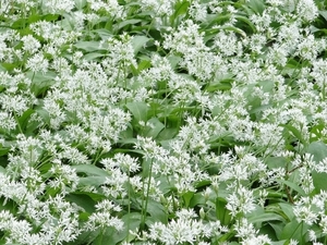 ds_DSC00361