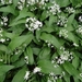 ds_DSC00364