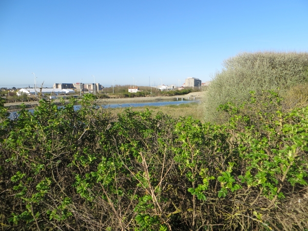 2013-05-04 Blankenberge 009