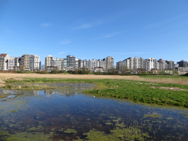 2013-05-04 Blankenberge 022