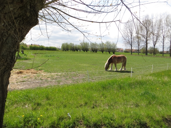 2013-05-04 Blankenberge 049