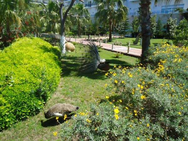 verlof kizilagac 081