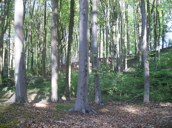 Nukerke Mei 2013 003