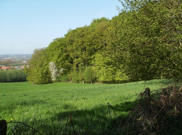 Nukerke Mei 2013 005