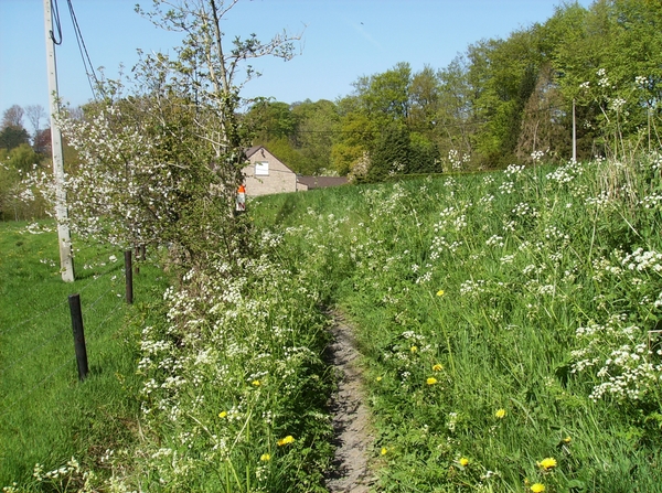 Nukerke Mei 2013 020