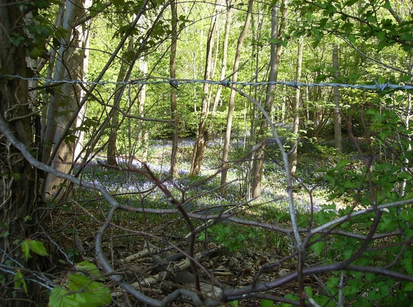 Nukerke Mei 2013 021