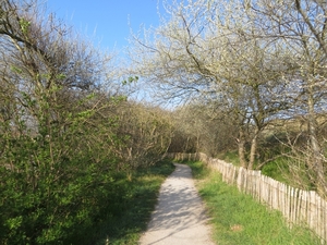 2013-05-05 Blankenberge 008