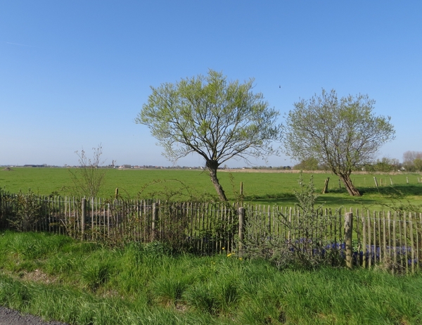 2013-05-05 Blankenberge 013