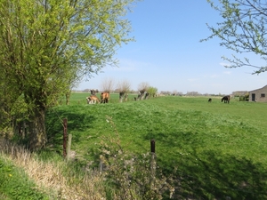 2013-05-05 Blankenberge 039