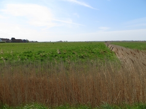 2013-05-05 Blankenberge 047