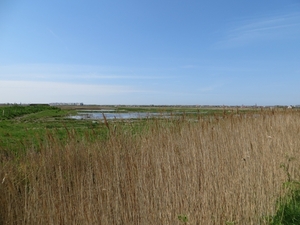 2013-05-05 Blankenberge 049