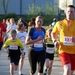 Dwars over de Mandel-2013