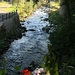 IMG_5493 (2)