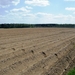 2013_05_05 Gochene 121