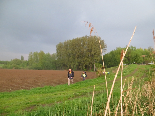 2013-05-07 Nieuwerkerken 005