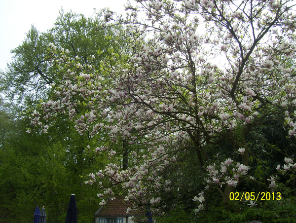 Wandeling naar Domein Roosendael - 2 mei 2013