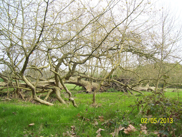 Wandeling naar Domein Roosendael - 2 mei 2013