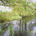 Wandeling naar Domein Roosendael - 2 mei 2013