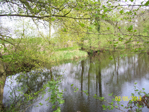 Wandeling naar Domein Roosendael - 2 mei 2013