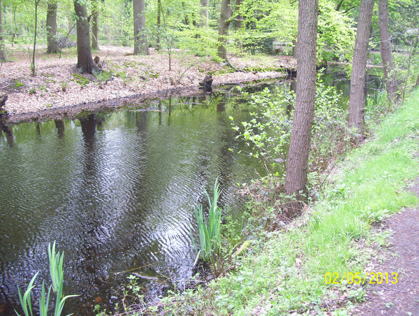 Wandeling naar Domein Roosendael - 2 mei 2013