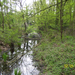 Wandeling naar Domein Roosendael - 2 mei 2013