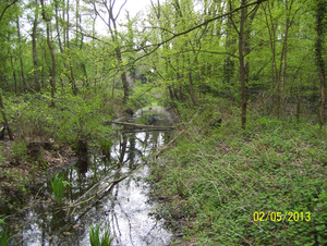 Wandeling naar Domein Roosendael - 2 mei 2013