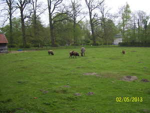 Wandeling naar Domein Roosendael - 2 mei 2013