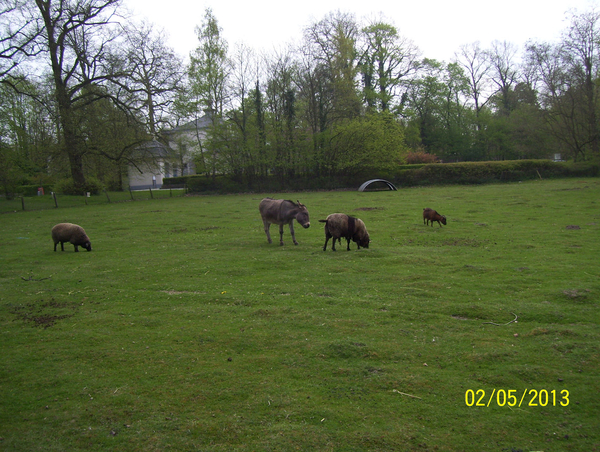 Domein Roosendael