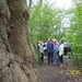 Wandeling naar Domein Roosendael - 2 mei 2013