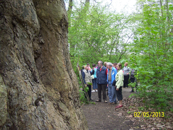 Wandeling naar Domein Roosendael - 2 mei 2013