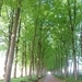 2013-05-09 Zottegem 004