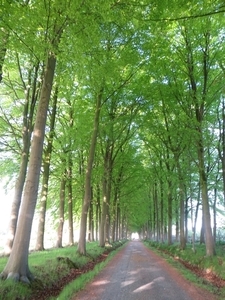 2013-05-09 Zottegem 004