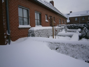 nr. 020