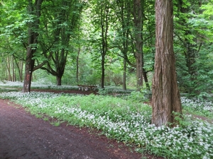 2013-05-11 Hastière 022