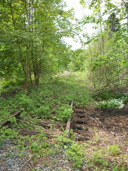 112-Oude spoorlijn in Walsaurt