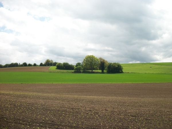 143-De hoogvlakte van Falmignoul