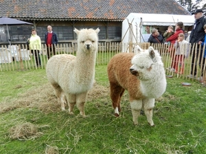 20130512.BeerveldeTuindagen 058 (Medium)