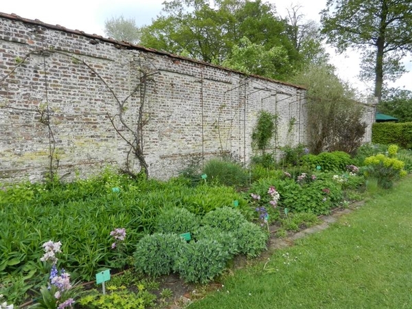 20130512.BeerveldeTuindagen 066 (Medium)