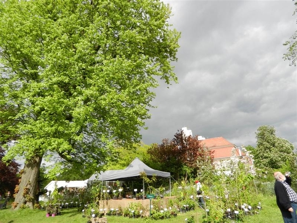 20130512.BeerveldeTuindagen 085 (Medium)